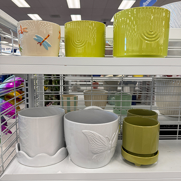 Dragonfly print, butterfly print and white and lime green ceramic planters found in store at Ross.